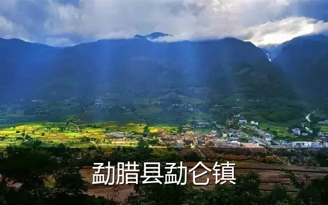 勐腊县勐仑镇