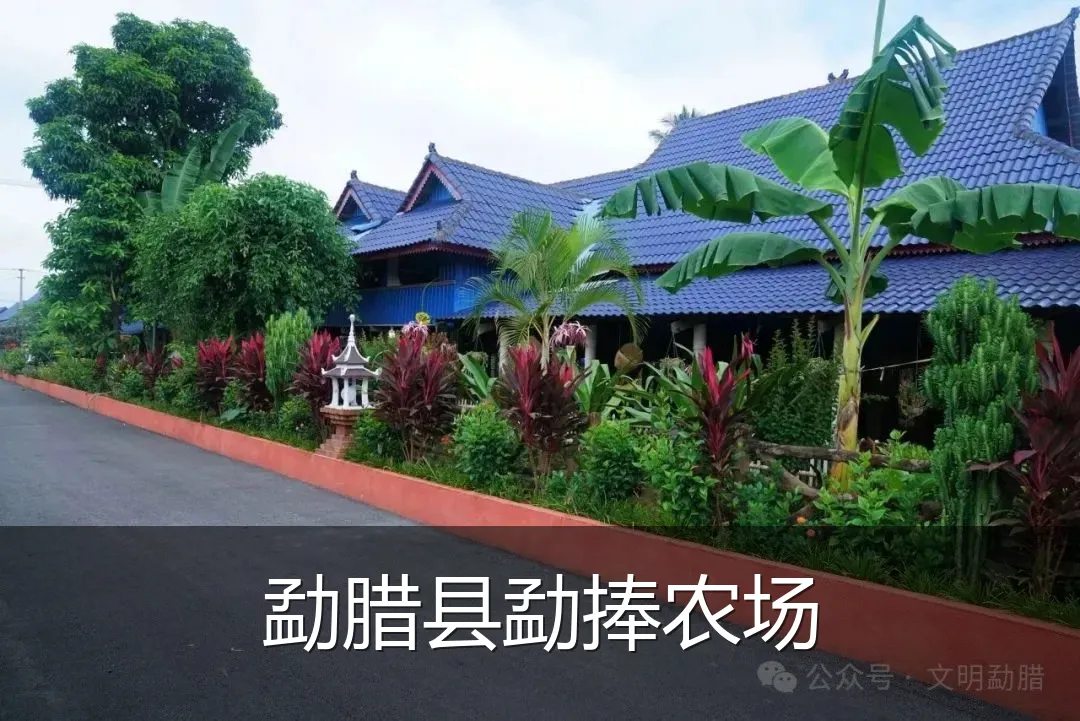 勐腊县勐捧农场