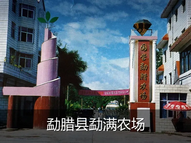 勐腊县勐满农场