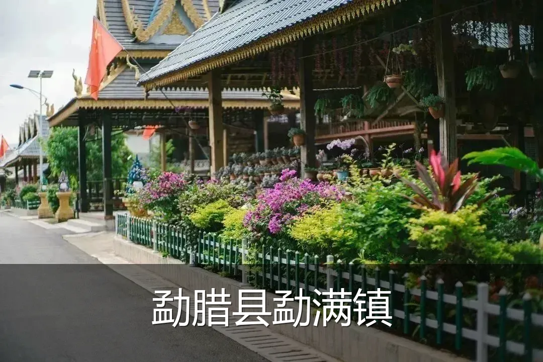 勐腊县勐满镇