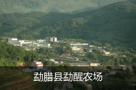 勐腊县勐醒农场